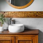 Bathroom interior with ficus